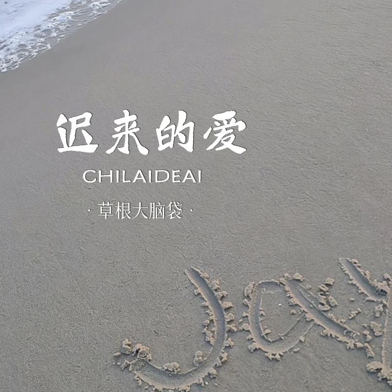 迟来的爱 (伴奏)封面