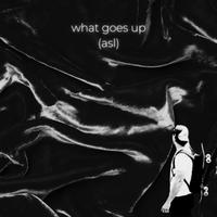 what goes up (asl)