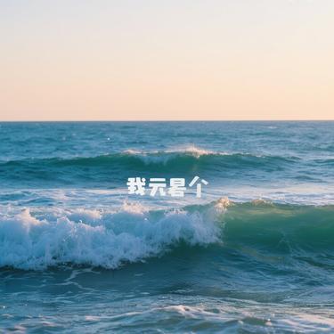 可我只是海 (Cover 徐子未)封面