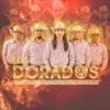 Los Dorados - Bonita (En Vivo)