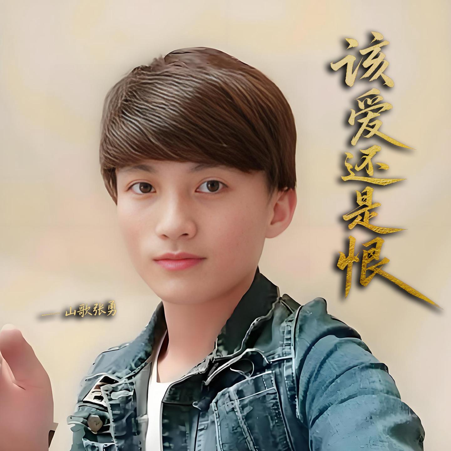 该爱还是恨封面