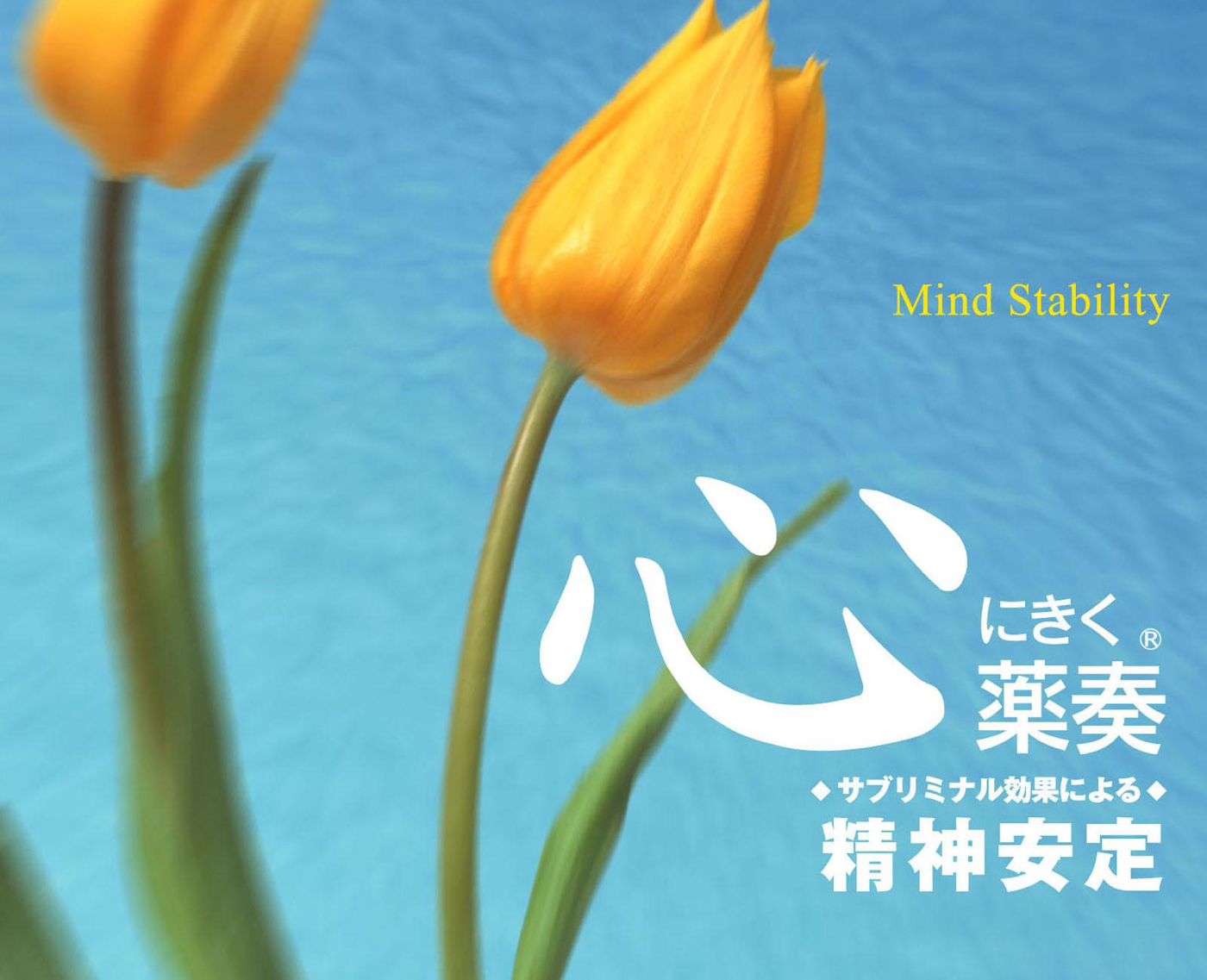 植地雅哉