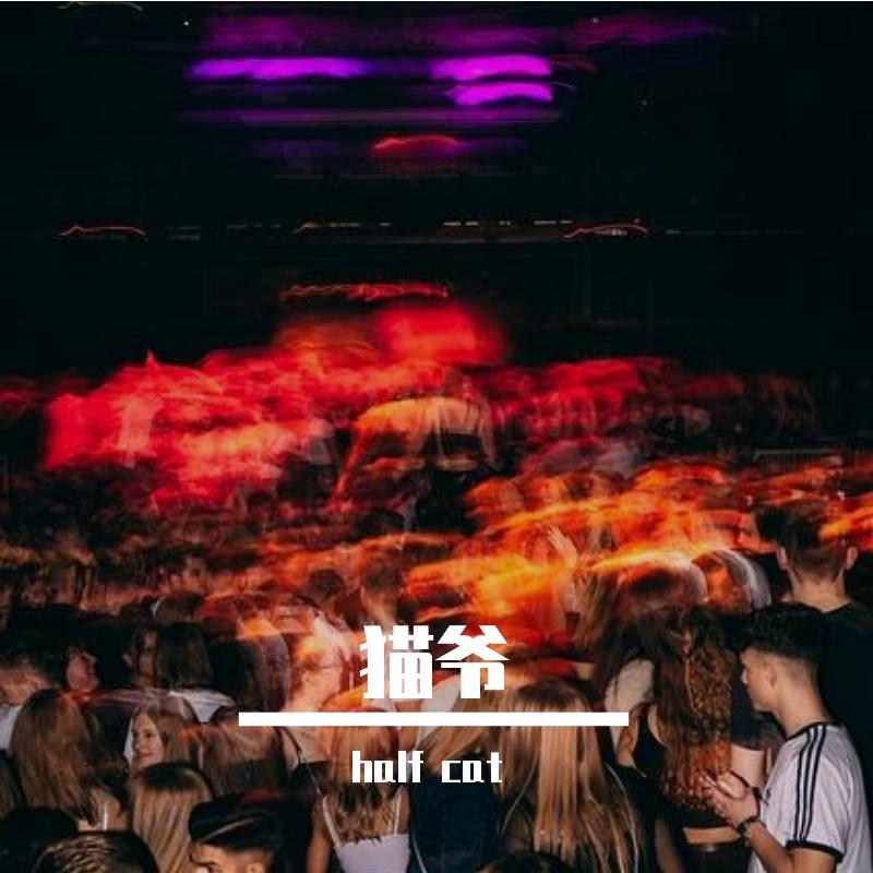 钱freestyle - half cat封面
