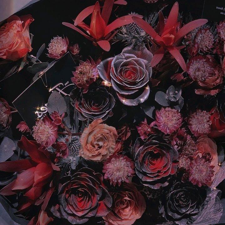 世界本就浑浊 罪与爱同歌