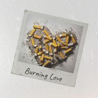 Burning Love