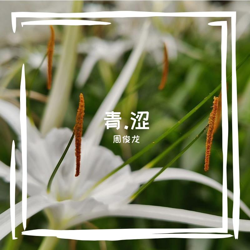 最爱你哭泣时候的眼睛封面