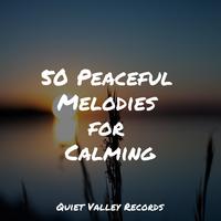 50 Peaceful Melodies for Calming