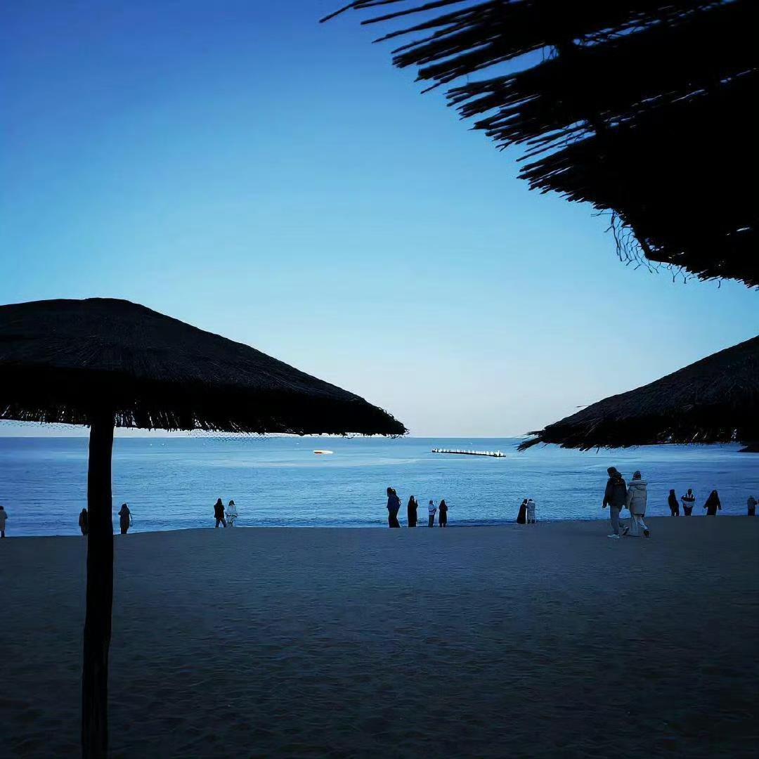 张悬 陈粒 陈绮贞 陈婧霏