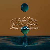 50 Wonderful Rain Sounds for Absolute Peace and Relaxation