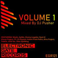 Electronic Gate Records Volume 1 (Mixed By DJ Pusher)