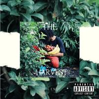 THE HARVEST