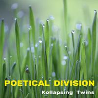 Poetical Division