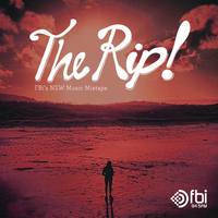 The Rip - Vol. 1