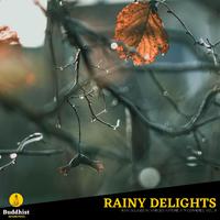 Rainy Delights - Rain Sounds in various Nature Atmospheres, Vol. 8