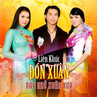 Liên Khúc Đón Xuân Này Đón Xuân Xưa (Asia CD 365)