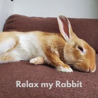 Relay My Rabbit