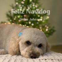 Feliz Navidog