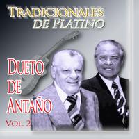 Tradicionales de Platino Vol. 2