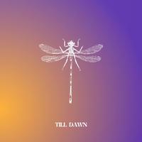 TILL DAWN