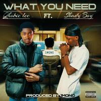 What You Need (feat. Shady Boy)