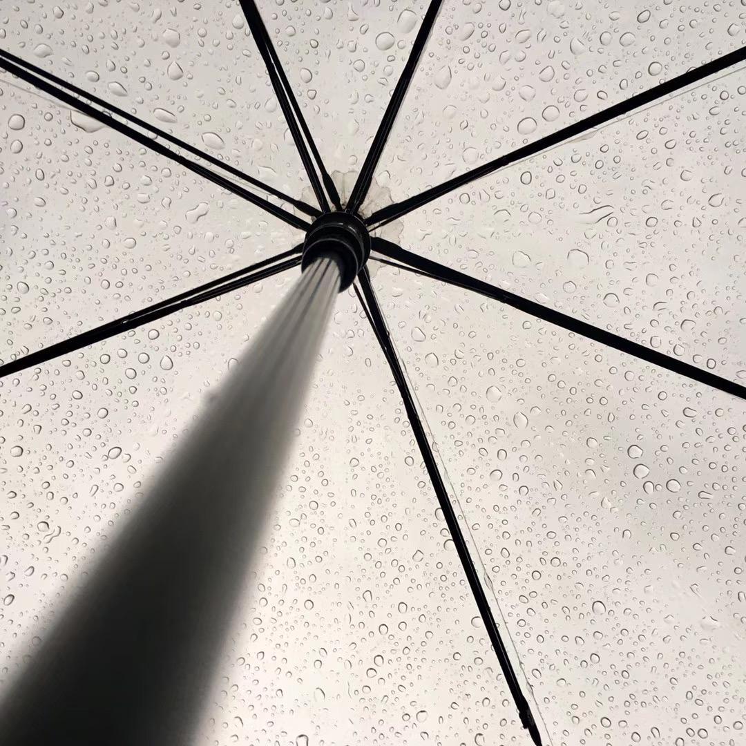 暴雨中...... - 黄林伯封面