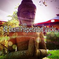 42 Exam Preperation Tracks