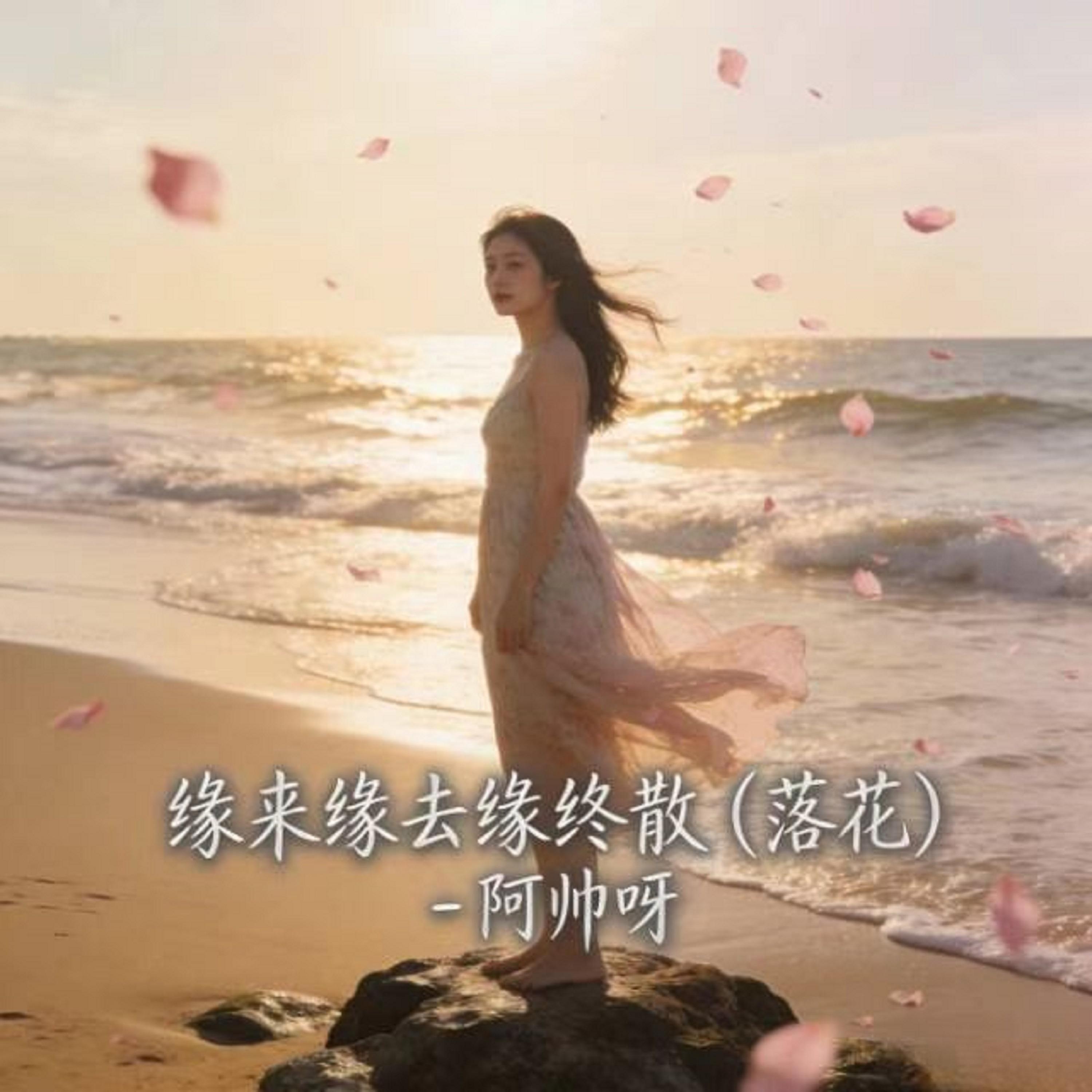 缘来缘去缘终散封面