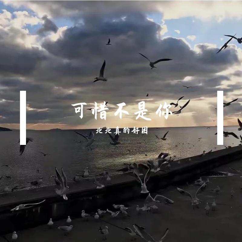 可惜不是你 - 北北真的好困封面