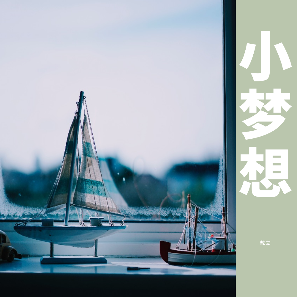 时间的远方 - 戴立封面