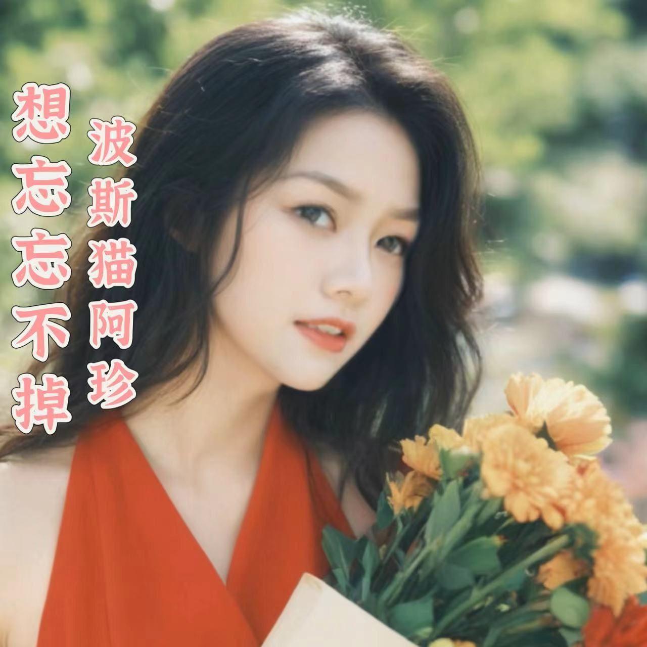 想忘忘不掉封面