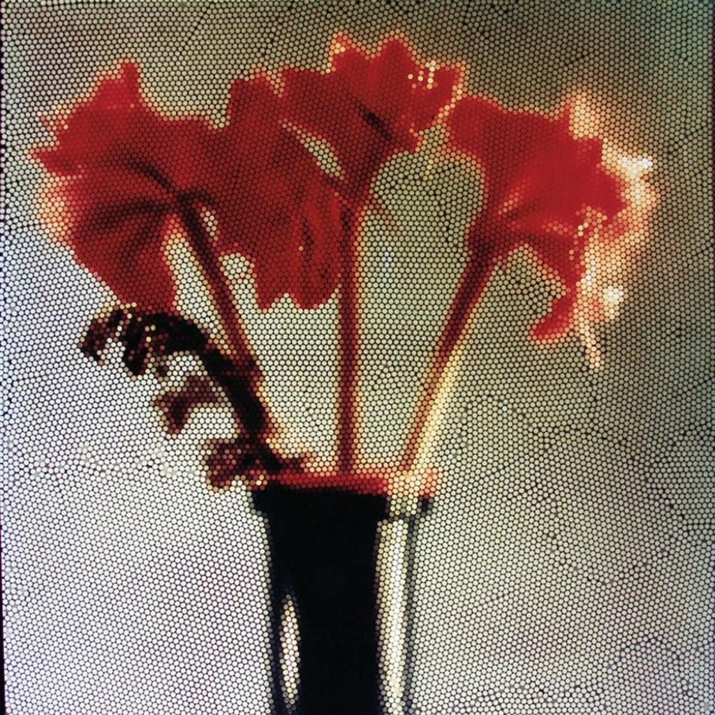 Zimbabwe: Shon 津巴布韦