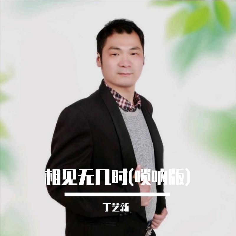 相见无几时 (唢呐版)封面