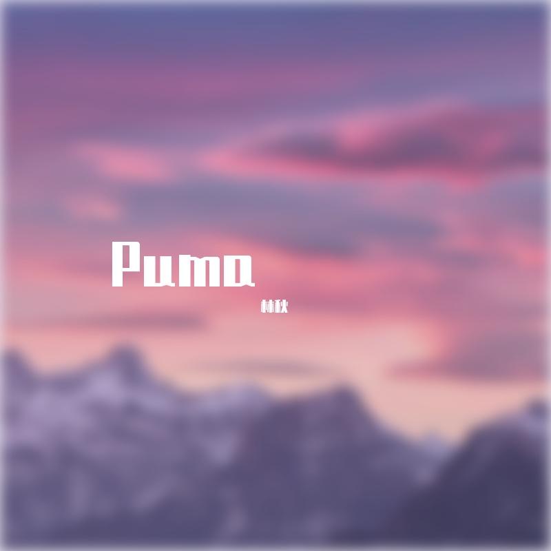 PUMA（cover.乃万）