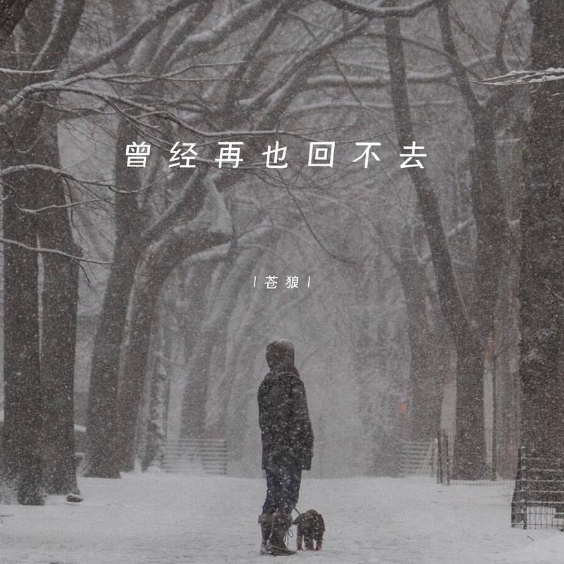 曾经再也回不去 (DJ豪大大版)封面