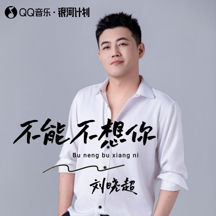 不能不想你 (降调版)封面