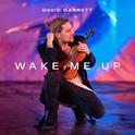 Wake Me Up (David Garrett Edition)专辑