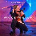 Wake Me Up (David Garrett Edition)专辑