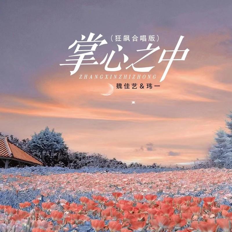 掌心之中(DJ版)封面