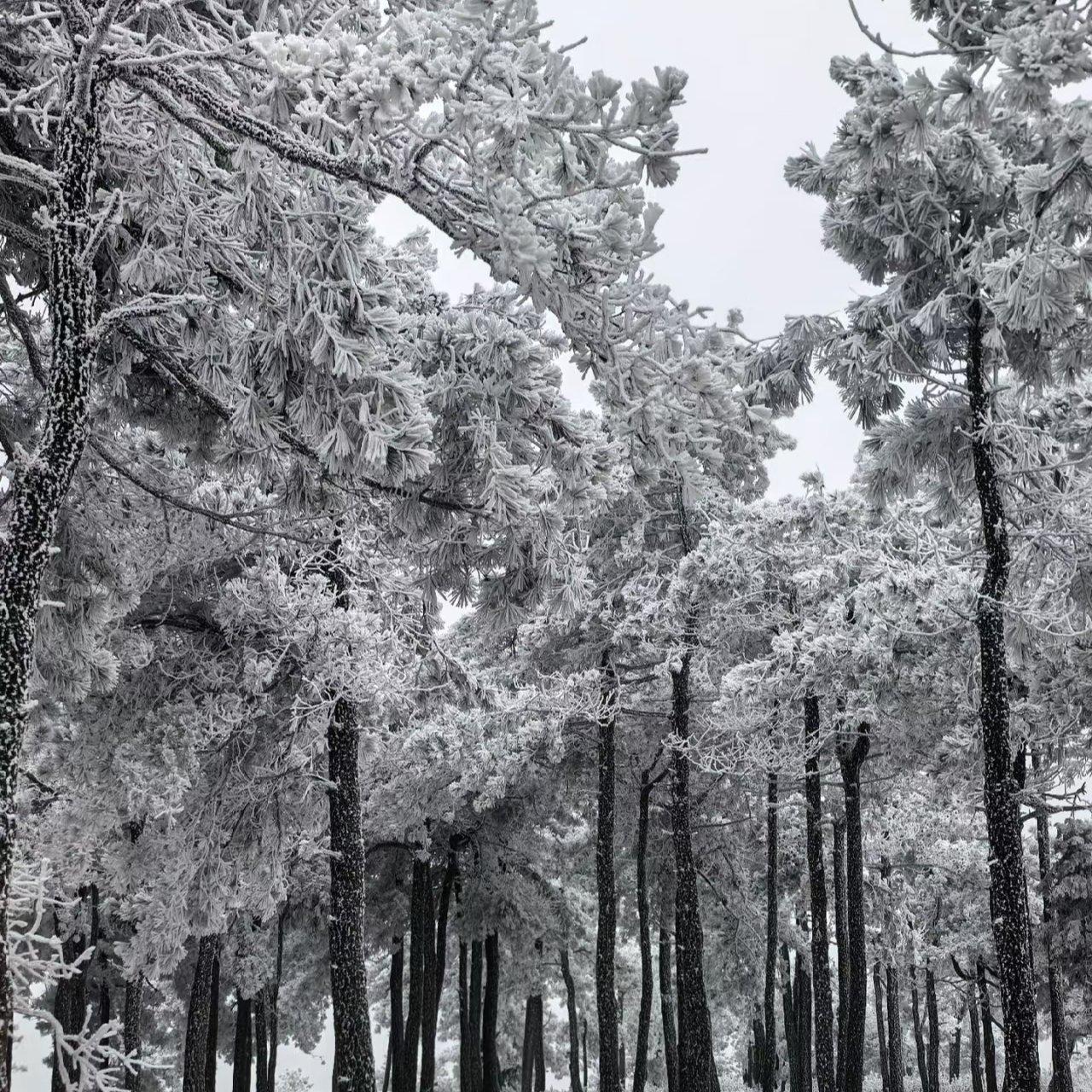 雪落