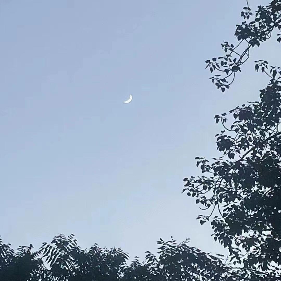 炎夏令 - 伸懒腰封面