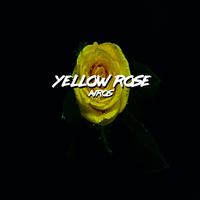 Yellow Rose