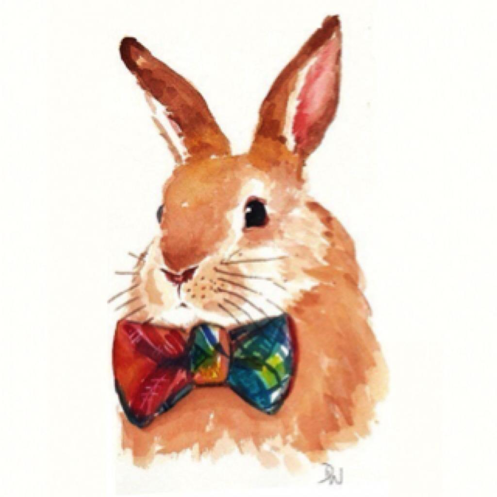 北海道没有冬天