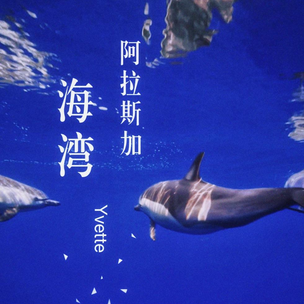 阿拉斯加海湾封面