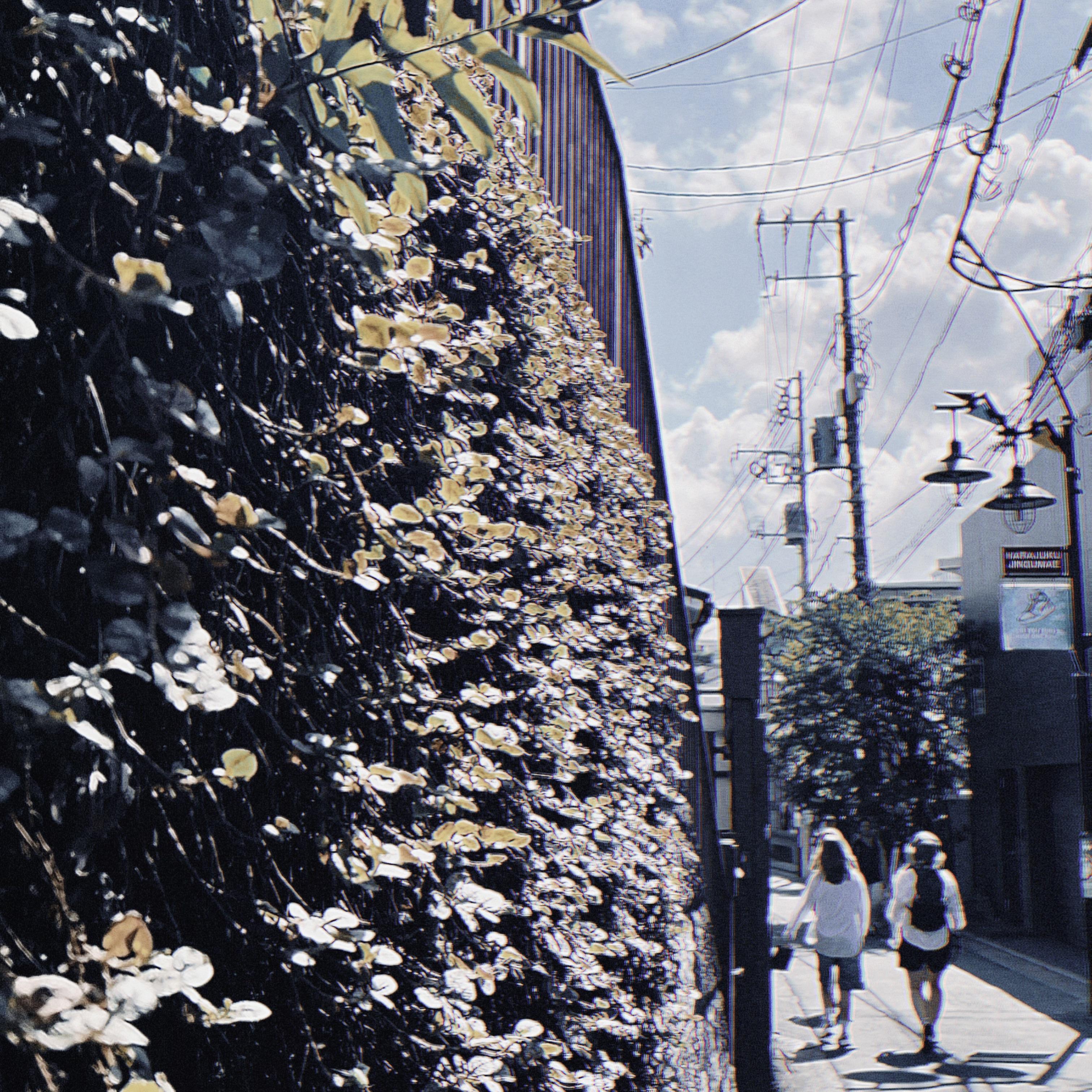 秋日的第一封信