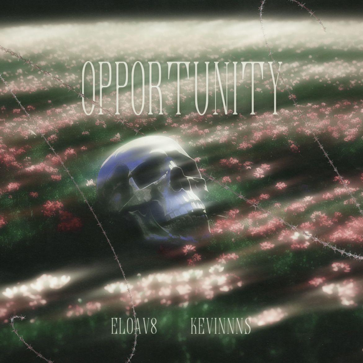 机会（opportunity）封面