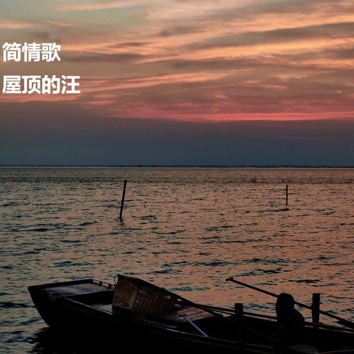 简情歌封面