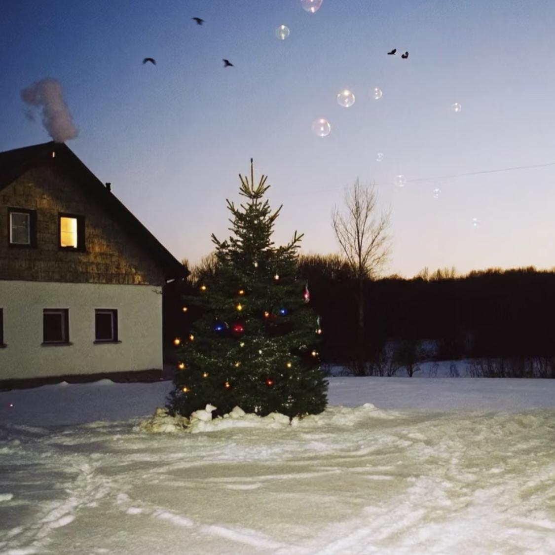 bixby、keshi、starfall等…温柔亚裔男