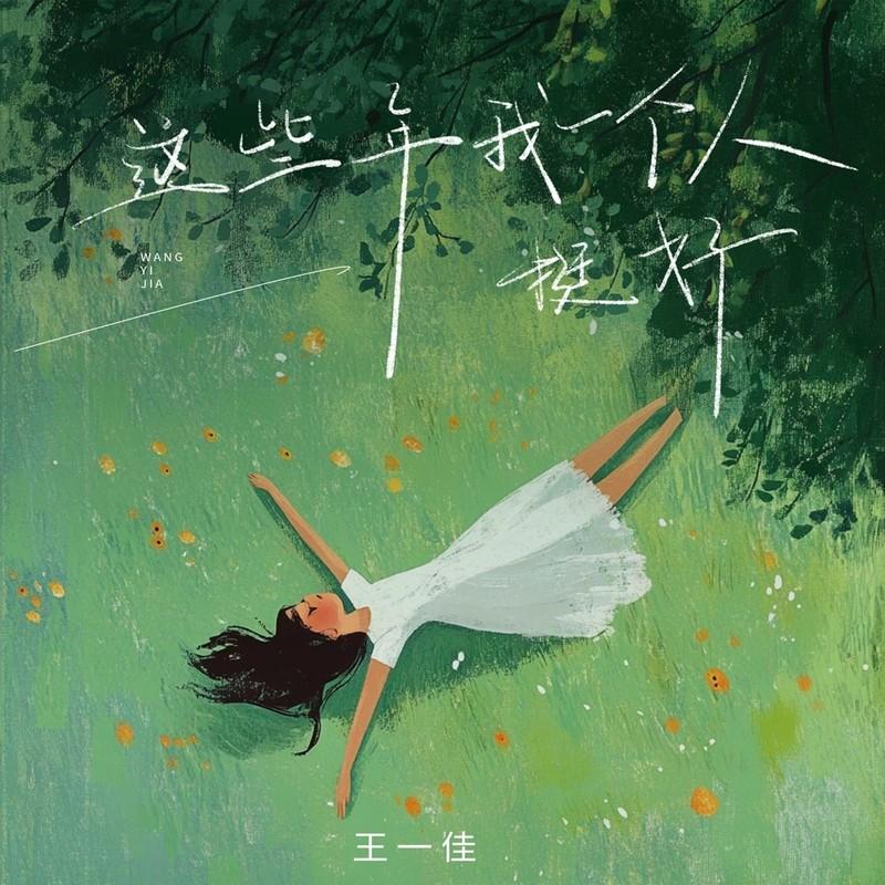 这些年我一个人挺好 (DJ九零版伴奏)封面