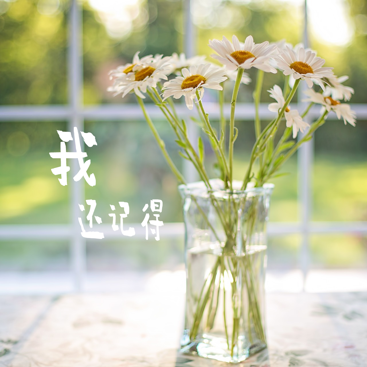 我还记得 伴奏封面