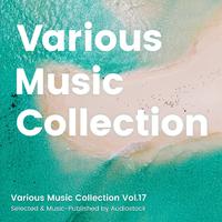 Various Music Collection Vol.17 -Selected & Music-Published by Audiostock-